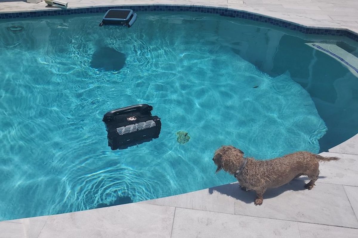 Top 8 Smart Robotic Pool Cleaners of the Year